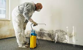 Best Mold Removal for HVAC Installations  in Central Square, NY