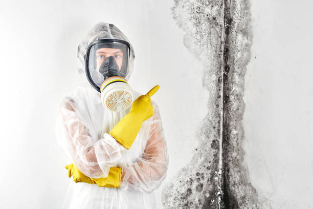 Best Commercial Mold Inspection  in Central Square, NY